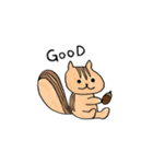 どうぶつエブリデー（個別スタンプ：5）