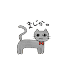 どうぶつエブリデー（個別スタンプ：16）