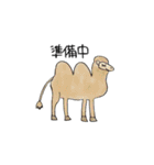 どうぶつエブリデー（個別スタンプ：34）