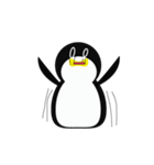 Angry Penguin（個別スタンプ：40）