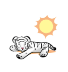 Smiling white tiger (English version)（個別スタンプ：13）