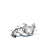 Smiling white tiger (English version)（個別スタンプ：14）