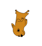 RAINRAIN（個別スタンプ：19）