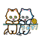 ちんちらCATS by ペンギンパンダ（個別スタンプ：3）