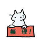 白にゃんと一緒！（個別スタンプ：8）
