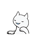白にゃんと一緒！（個別スタンプ：24）