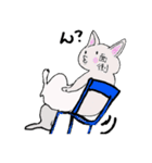白にゃんと一緒！（個別スタンプ：30）