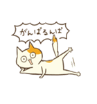 迸るねこスタンプ（個別スタンプ：10）