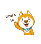 English Dog（個別スタンプ：1）