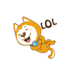 English Dog（個別スタンプ：4）