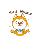 English Dog（個別スタンプ：5）