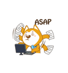 English Dog（個別スタンプ：7）
