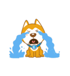 English Dog（個別スタンプ：16）