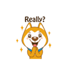 English Dog（個別スタンプ：18）
