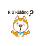 English Dog（個別スタンプ：20）