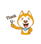 English Dog（個別スタンプ：24）