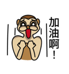 Funny Meerkat（個別スタンプ：23）