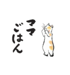 やわらねこ（個別スタンプ：10）