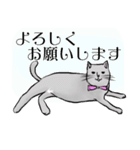 猫のルーク（個別スタンプ：10）