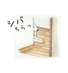 柴犬のここが好き9（個別スタンプ：25）