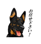 ジャーマンシェパード警察犬 第3弾（個別スタンプ：10）