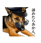 ジャーマンシェパード警察犬 第3弾（個別スタンプ：13）