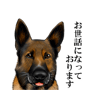 ジャーマンシェパード警察犬 第3弾（個別スタンプ：14）