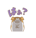 となりのポチ Vol.1（個別スタンプ：17）