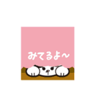 我がにゃんこ☆てんてん（個別スタンプ：29）