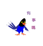 Dove Dove blue magpie（個別スタンプ：4）