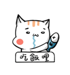 Funny Cat~meow（個別スタンプ：5）