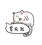 Funny Cat~meow（個別スタンプ：9）