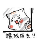 Funny Cat~meow（個別スタンプ：36）