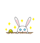 Bunny Gi（個別スタンプ：11）