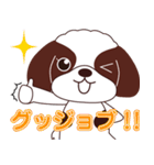 シーズー犬・ルビちゃん・・・First Season（個別スタンプ：35）