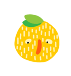 Orange fruit（個別スタンプ：20）