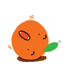 Orange fruit（個別スタンプ：38）