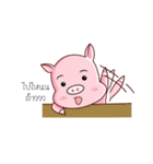 PIG！！！（個別スタンプ：17）