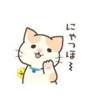 仔猫のブライアン（個別スタンプ：1）