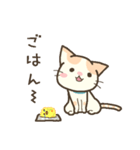 仔猫のブライアン（個別スタンプ：12）