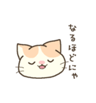 仔猫のブライアン（個別スタンプ：23）