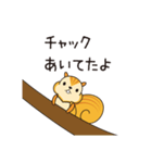 こっそリス（個別スタンプ：8）