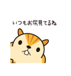 こっそリス（個別スタンプ：9）