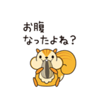 こっそリス（個別スタンプ：12）
