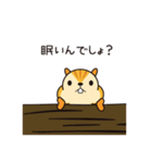 こっそリス（個別スタンプ：22）