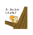 こっそリス（個別スタンプ：34）