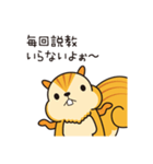 こっそリス（個別スタンプ：38）