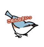 野鳥生活のスタンプ1（個別スタンプ：2）