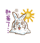 hotot bunny（個別スタンプ：24）