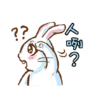 hotot bunny（個別スタンプ：26）